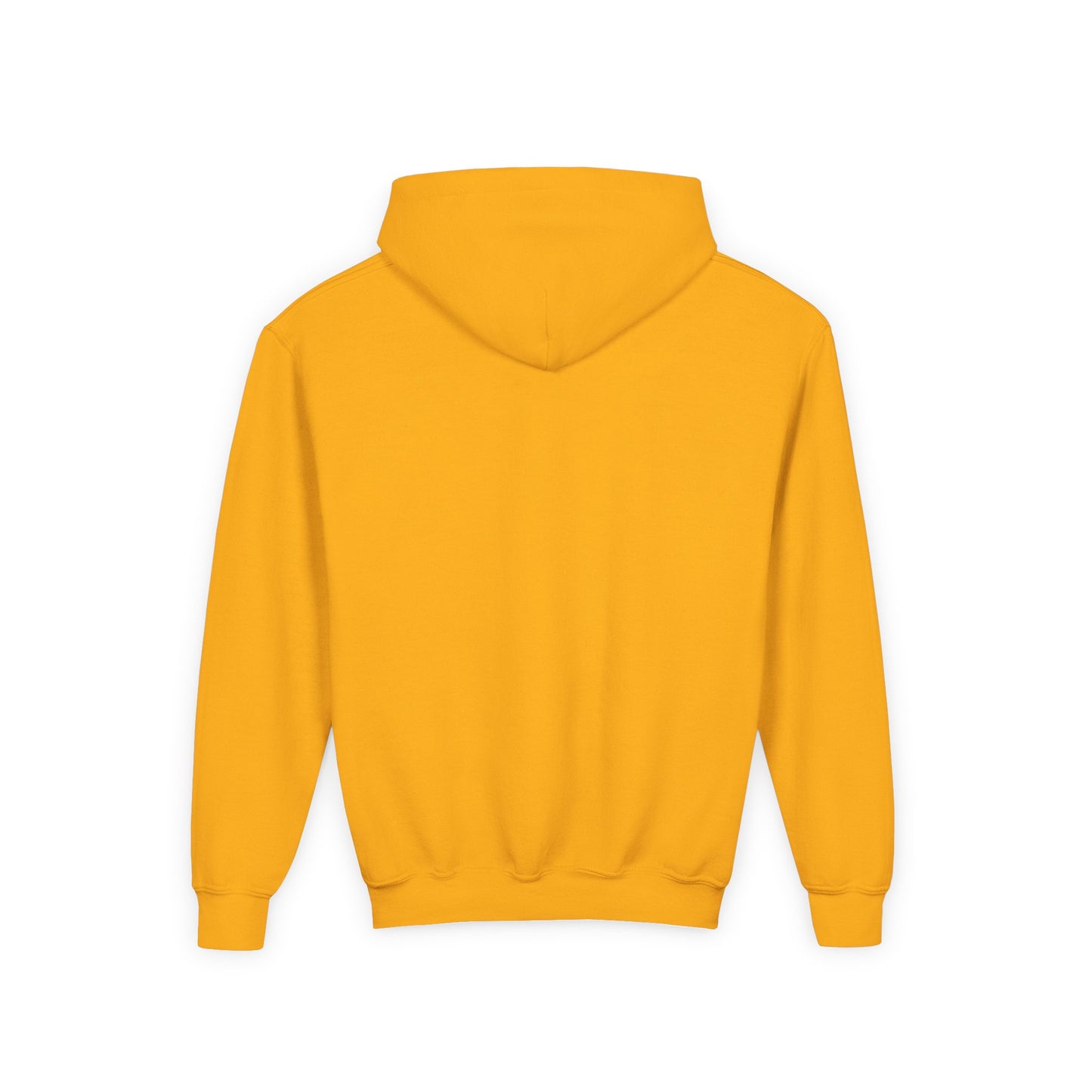 Youth Hoodie â€” "Legacy's" American Flag Torch Emblem